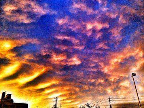 「夢」がわからない男のつぶやき