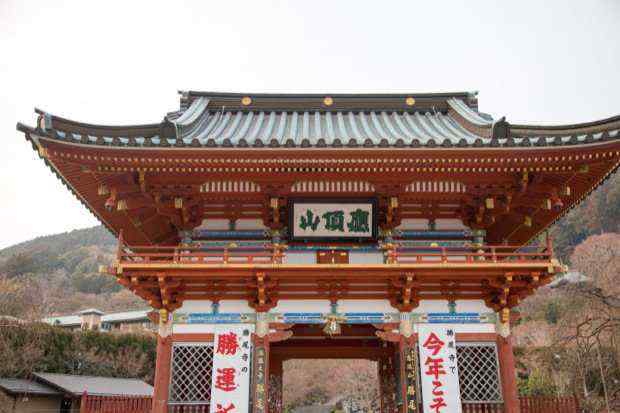 「勝尾寺」だるま、ダルマ、達磨!ダルマだらけの「勝運」を祈願するお寺。お参りついでに撮影だ!