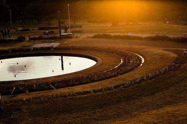 大阪府下最大級の公園「服部緑地」で夕陽を撮ろう!北摂の方は必見だ!