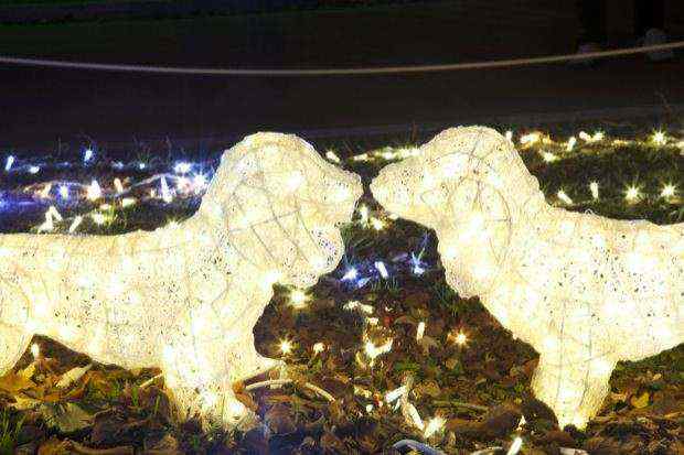 カメラ超初心者に贈る！(16)夜景を撮ろう！まずは三脚を用意します。