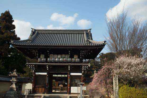 「梅宮大社」京都・嵐山の近くにある猫と梅が堪能できる神社。