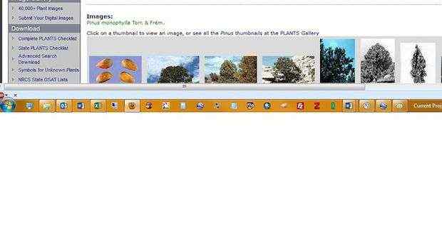 Windowsのタスクバーの場所はどこがいいか効果測定をしてみた